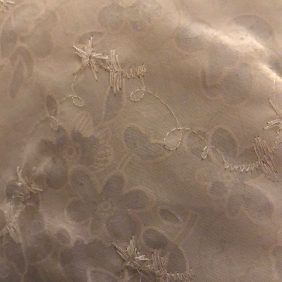 Meet your Posher, Hadley - Picture 1 of 1